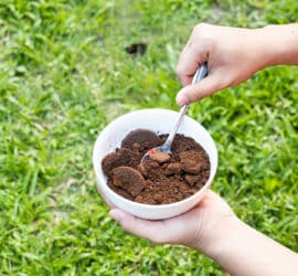 Kaffee als Düngemittel - damit der Garten grünt und blüht