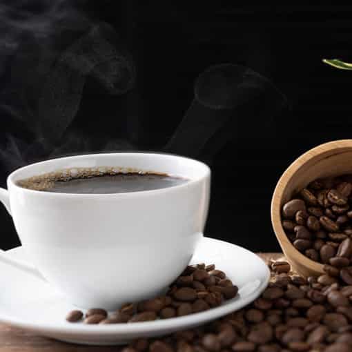 Geisha Kaffee – die vielleicht beste Kaffeesorte der Welt