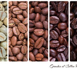 Neue Kaffeesorten – was ist dieses Jahr im Trend?
